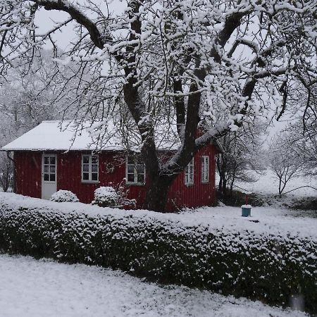 Hansenhof Kappeln Kültér fotó